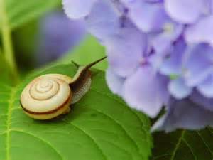 6月のご案内 6月のご案内