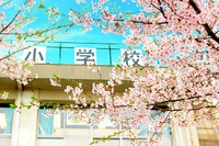 桜 入学式のシーズンですね(^^)