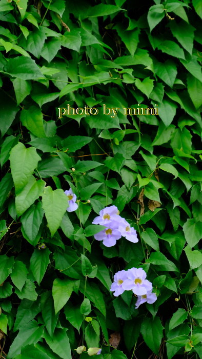 ありがとうございました。 フォトレッスン1月 撮影会 ありがとうございました。 フォトレッスン1月 撮影会