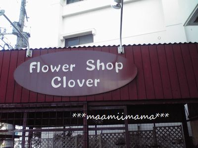 Flower Shop Clover