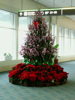 ☆Merry Xmas☆