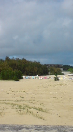 辺野古・・・