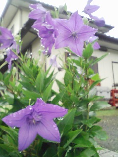 いただきます~~~!!