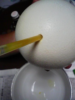 だちょうの・・・その後!!