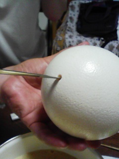 だちょうの・・・その後!!