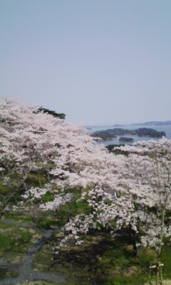 日吉山王神社祭