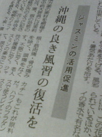 ジャスミンの記事