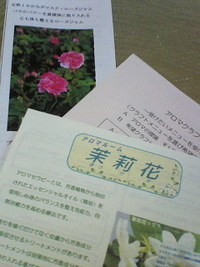 飛び込み取材ありましたー!