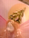 「あなたを待っています」
