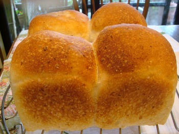 玄米パンとロールパン
