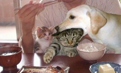 おはよう