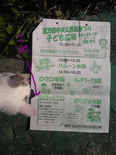 今度の土曜日、中央公民館まつり