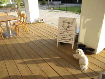 看板犬