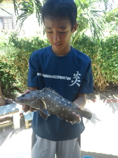 細崎の魚