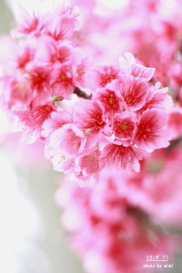 2011年12月31日
