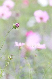 2011年12月07日
