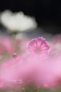 2011年12月08日