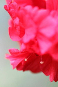 2011年12月15日