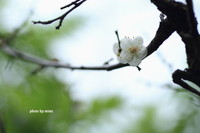 2012年01月10日