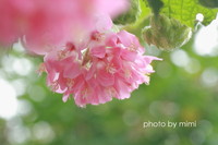 2012年02月03日
