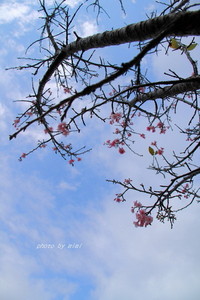 2012年02月07日