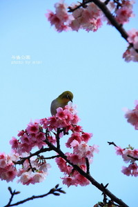 2012年02月03日