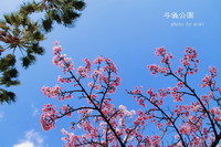 2012年02月10日