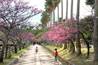 2012年02月11日