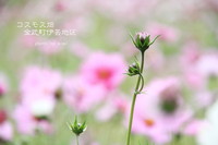 2012年02月12日