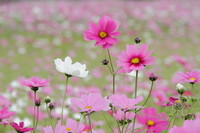 2012年02月17日