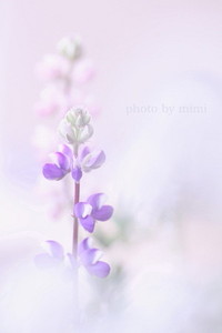 2011年12月11日