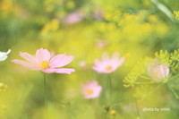 2012年04月11日