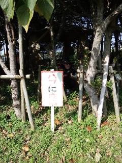 沖縄輪業サイクリング 仲原遺跡編♪