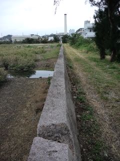 早朝ぽた 川田の堤防♪