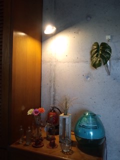 初「LED電球」♪