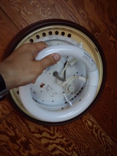 初「LED電球」♪