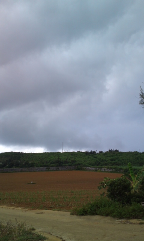 雨です
