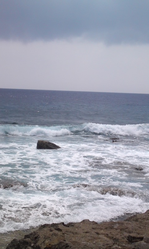 おきなわ海