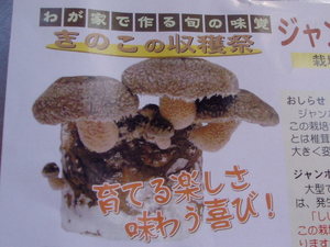 maru CAFE開店前♪