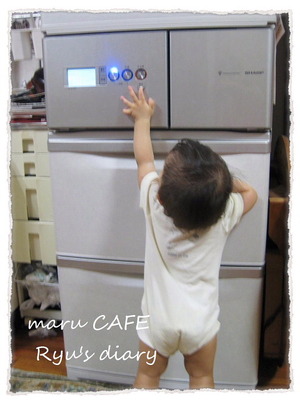 maru CAFEリュウリュウ日記