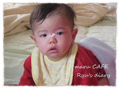 maru CAFEリュウリュウ日記