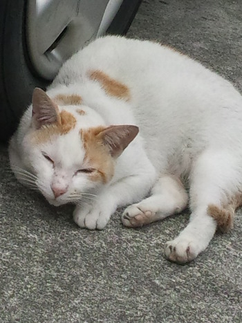 晴れたね。。。