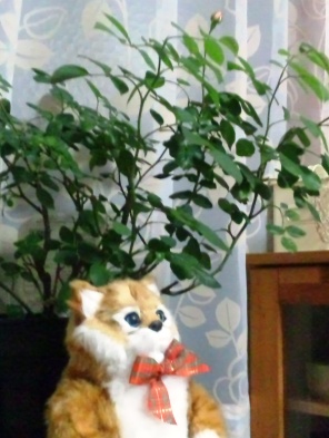 これで大丈夫。