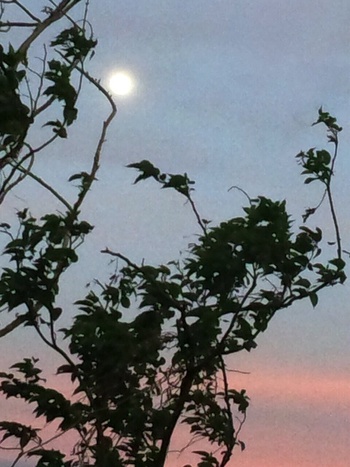 Like a paper moon