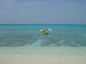 もうすぐ夏ですね。
