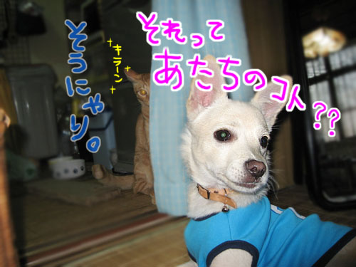 戦い・・・
