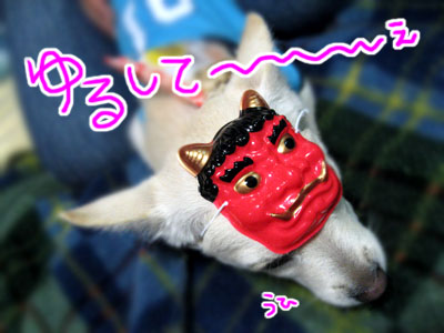 戦い・・・