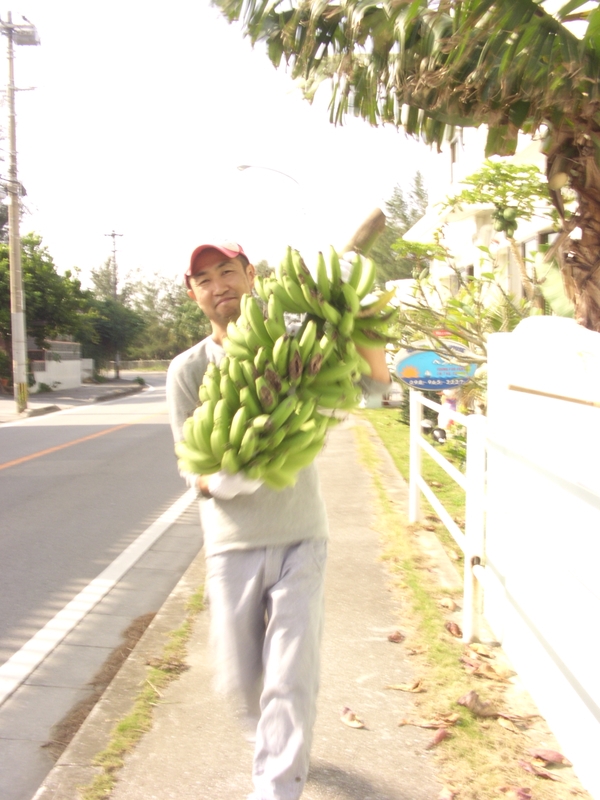バナナ収穫祭　その５　ぐらいかな・・