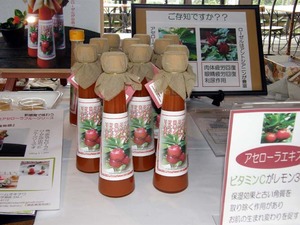 かなさうちなーむんフェアinやんばる海の駅