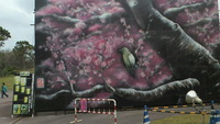 本部桜祭り 2012/01/21 12:25:58
